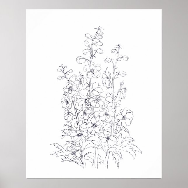Poster desenho de flores de delphinium larkspur (Frente)