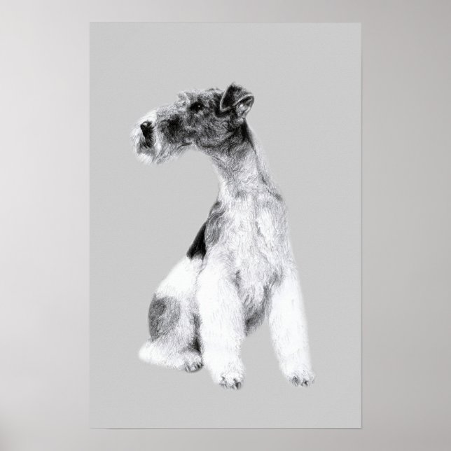 Poster Desenho de Fox Terrier (Frente)