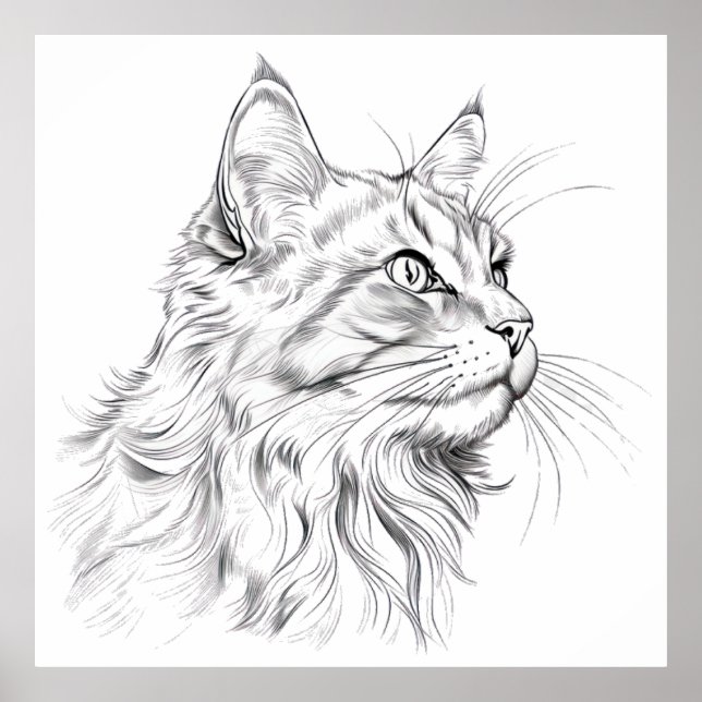 Poster Desenho de gato (Frente)