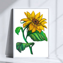 Desenho de Girassol Amarelo Arte de Lápis Colorido