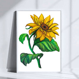 Poster Desenho de Girassol Amarelo Arte de Lápis Colorido