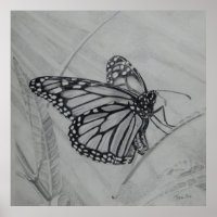 Desenho de grafite de borboleta monarca