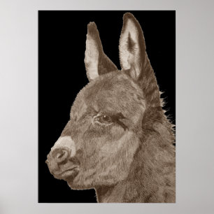 Póster desenho de lápis lifelike do asno bonito