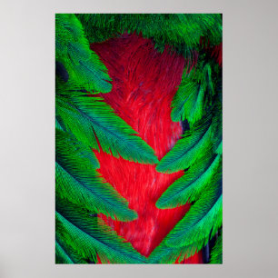 Póster desenho de pena de Quetzal Resplandecente