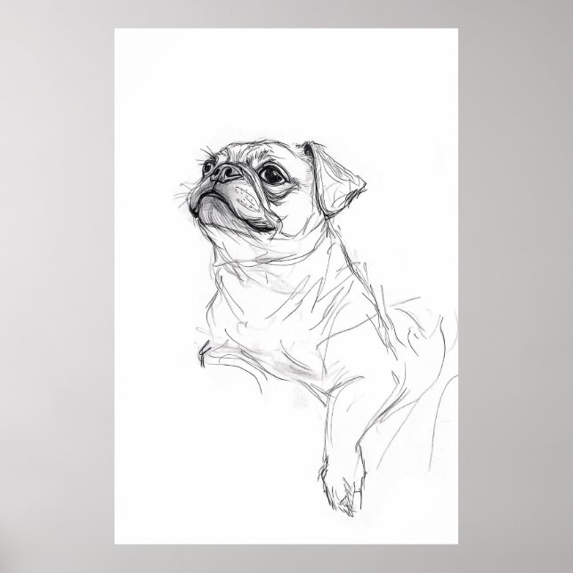 Poster Desenho de Retrato de Pug Elegante - Premium (Frente)