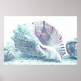 Poster Desenho de Seashell com desenho simples à mão | PO
