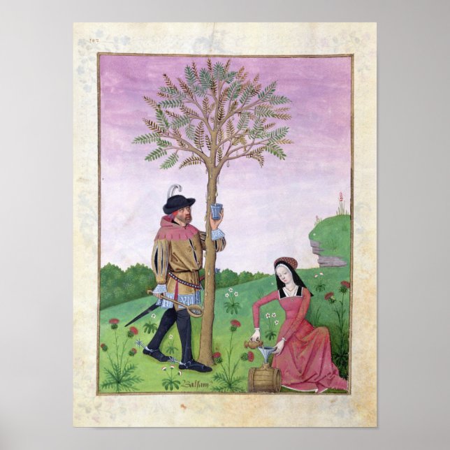 Póster Desenho de seiva de uma árvore (Frente)