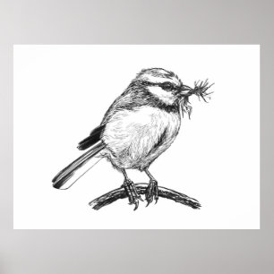 Poster Desenho de tinta de pássaro azul