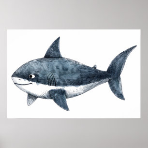 Poster Desenho de tubarão pequeno