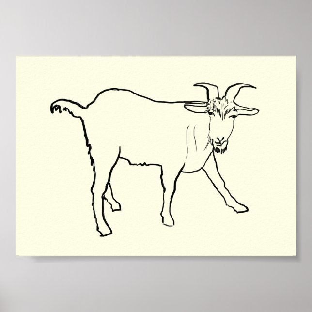 Póster Desenho Divertido de Cabra Arte Excêntrica de Anim (Frente)