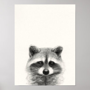 Poster Desenho do Lápis de Raccoon