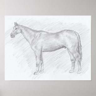 Poster de retrato de cavalo em desenho de lápis de