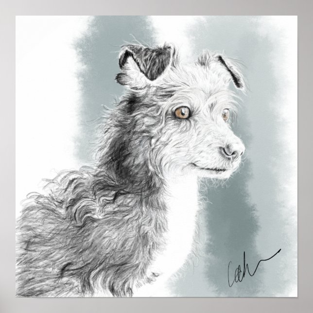 Poster Desenho do Mickey dog (Frente)