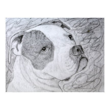 Desenho do Pinto Retrato Americano Bulldog Pet