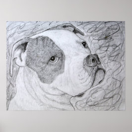 Póster Desenho do Pinto Retrato Americano Bulldog Pet