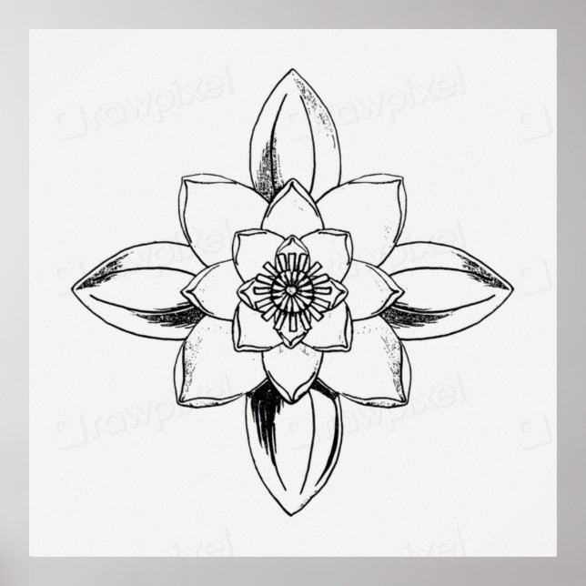 Poster Desenho em linha preto e branco da flor de lírio d (Frente)