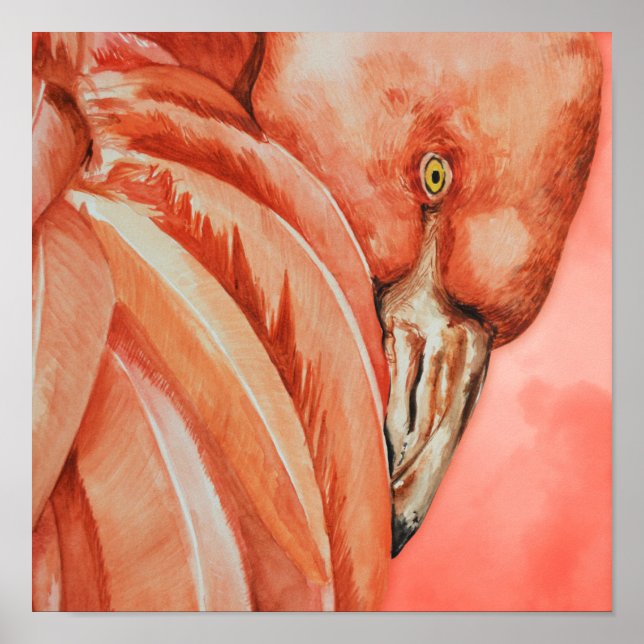 Poster Desenho Flamingo Bonito (Frente)