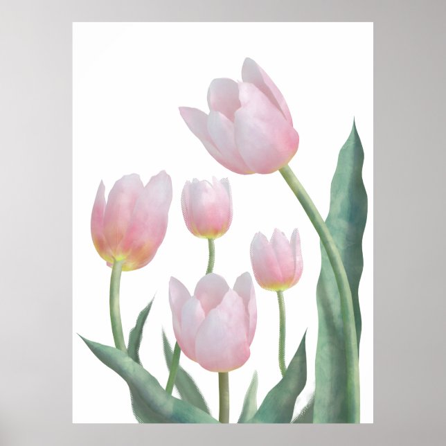 Poster Desenho Floral de Tulipa Pastel (Frente)