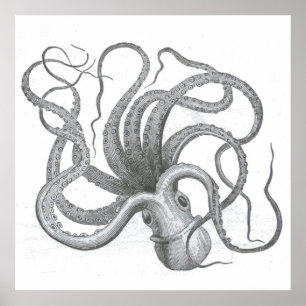 Poster Desenho kraken vintage náutico