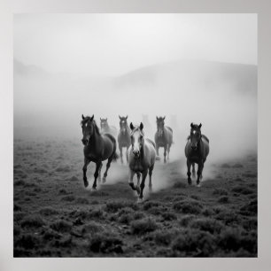 Poster Desenho Majestoso de Carvão Horso - Grace e Streng