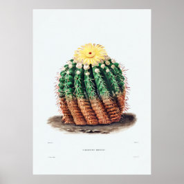 Poster Desenho Nopal de uma Imagem de Planta de Cactus Fl