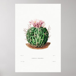 Poster Desenho Nopal de uma Imagem de Planta de Cactus Fl