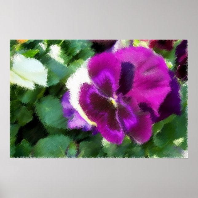 Póster Desenho Pansy Suave Rosa (Frente)