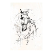 Desenho Retrato de Cavalo abstrato - Premium