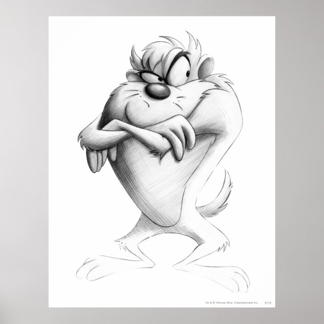 Poster Desenho TAZ™ (Frente)