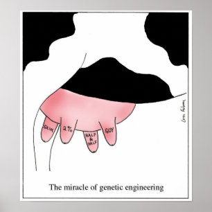 Poster Desenhos animados da teta de GMO da vaca da