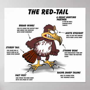 Poster desenhos animados do falcão da Vermelho-cauda