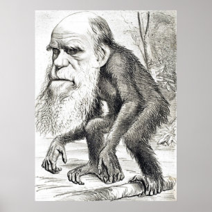 Póster Desenhos animados editoriais de Charles Darwin