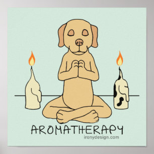 Poster Desenhos animados engraçados da meditação da