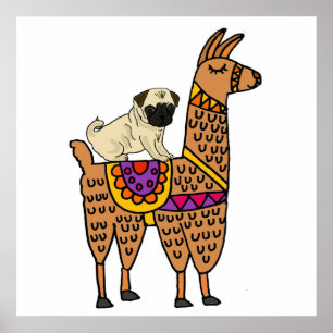 Poster Desenhos animados engraçados do lama da equitaç