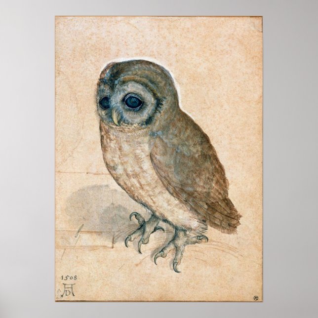 PÓSTER DESENHOS DE ANIMAIS DE RENAÍSCIA/OWL (Frente)