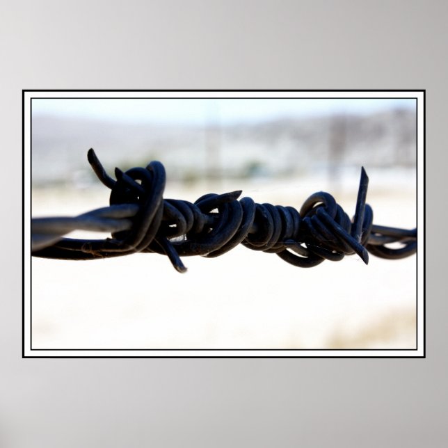 Póster Desert Barbed Wire (Frente)