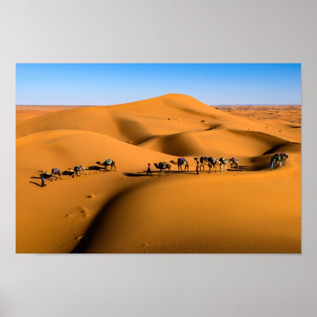 Poster DESERT CAMEL TRAIN - Dunas de areia em Tamnougalt (Frente)