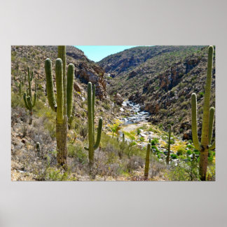 Póster Desert Canyon