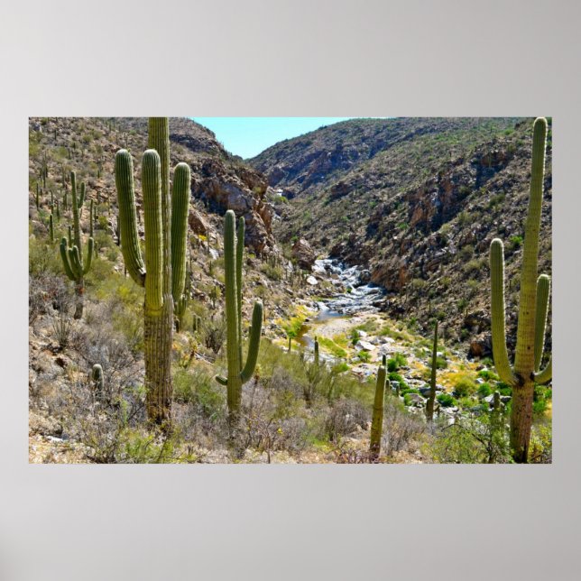 Póster Desert Canyon (Frente)