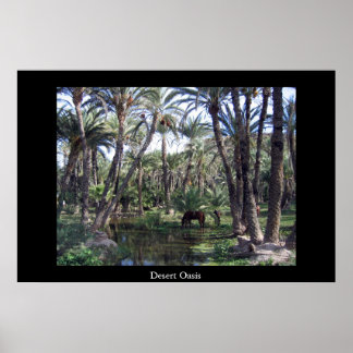 Póster Desert Oasis