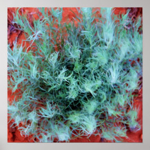 Poster Desert Sage