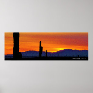 Poster Deserto De Arizona Laranja Brilhante Saguaro Cacto