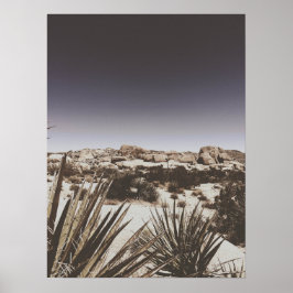 Poster Deserto De Árvore Joshua, Aquecido E Quente