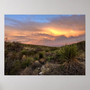 Poster Deserto de Carlsbad Caverns