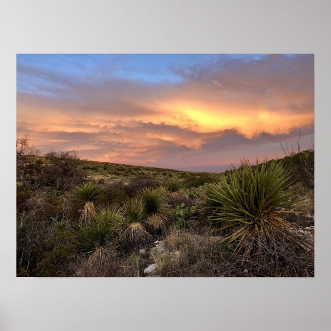 Poster Deserto de Carlsbad Caverns (Frente)