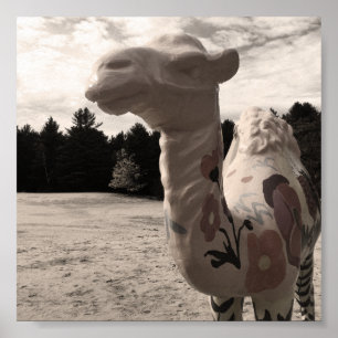 Poster deserto de minas