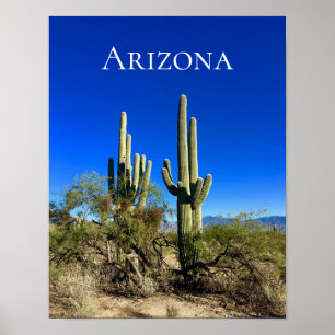 Poster Deserto de Saguaro Cactus arizona