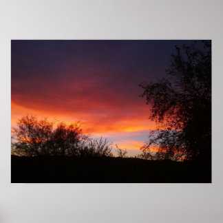 Póster Deserto de Sonoran arizona Sunset 21 x 15