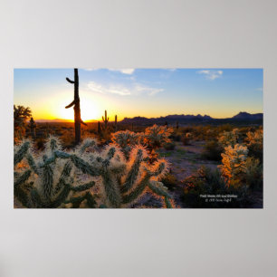 Póster Deserto de Sonoran com Arizona solar com aguaro ca