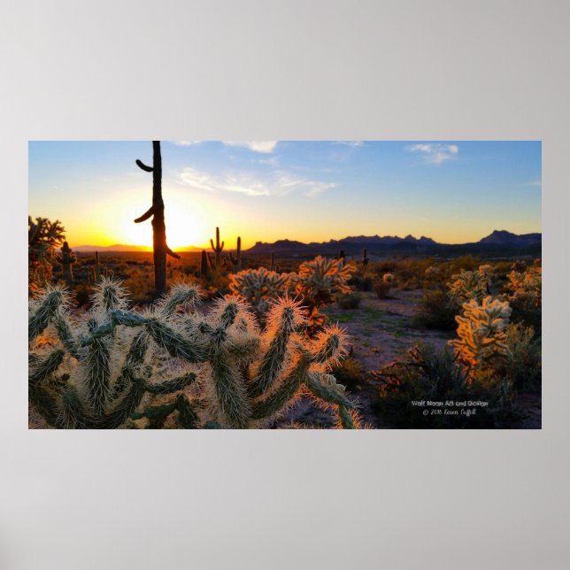 Póster Deserto de Sonoran com Arizona solar com aguaro ca (Frente)